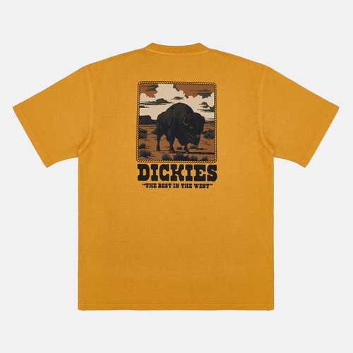 Футболка мужская Dickies Darrtown Short Sleeve Tee 