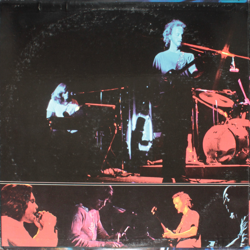 The Doors / Absolutely Live (2LP)