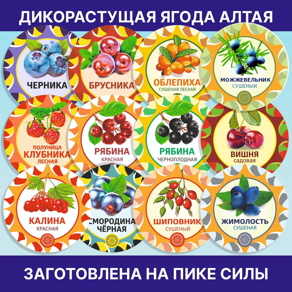 Рябина красная 500 гр. Алтайская "Зимняя" ягода сушеная