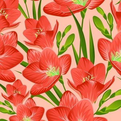 Красные фрезии на розовом фоне