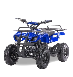 Квадроцикл MOTAX ATV Mini Grizlik X-16 (мех.)