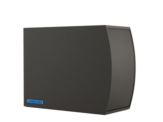 CVGAUDIO SUBone model C-6BL/CR/T настенный сабвуфер, мощность 70W/100V