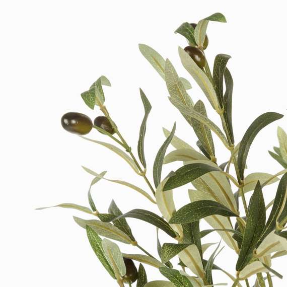 Оливковое дерево высота 172 см