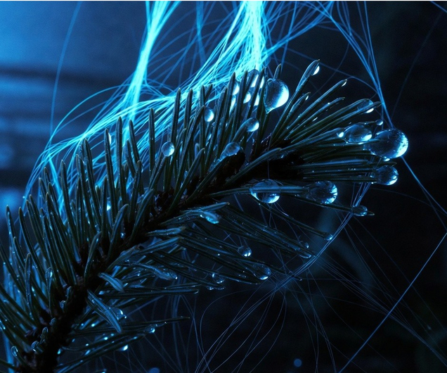 ПОДТВЕРЖДЕНО МИРОВОЙ НАУКОЙ