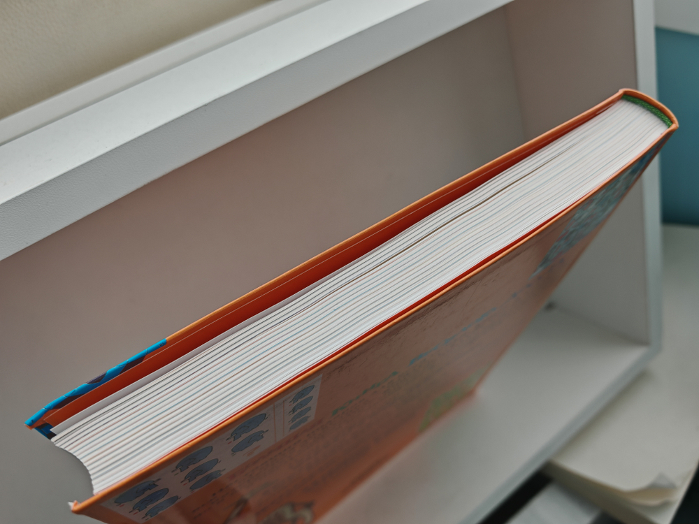 Большая книга весёлого досуга (2005)