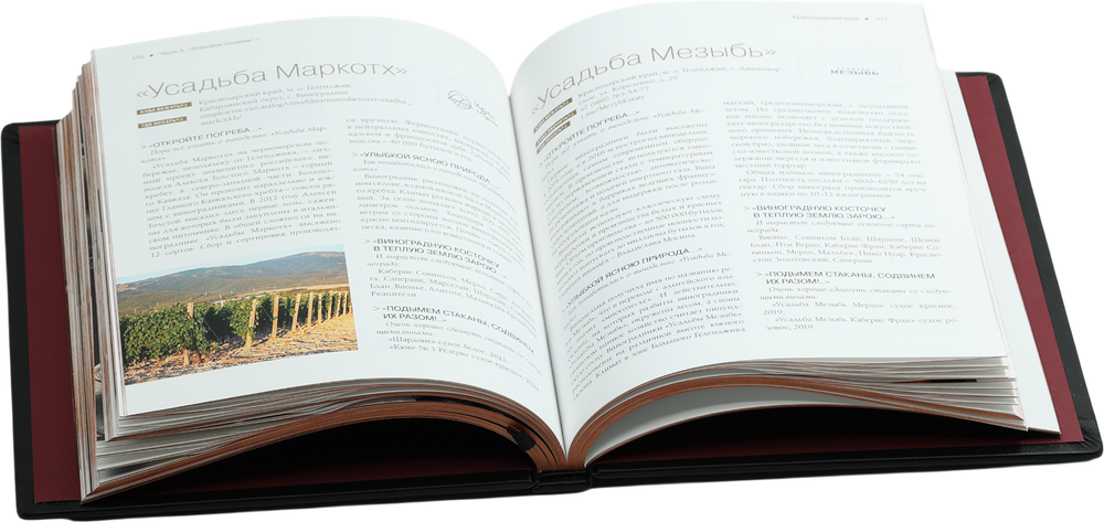 Атлас русского вина. От Крыма до Волги путеводитель по российским винам