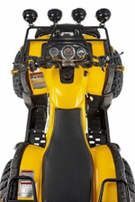 Квадроцикл RAPTOR MAX PRO 250 (жёлтый/чёрный)