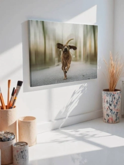 Картина на стену 40 X 50 Собака