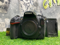 Nikon D300S 38.100 кадров