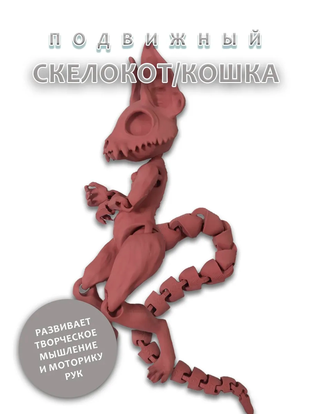 Скелет Кошки