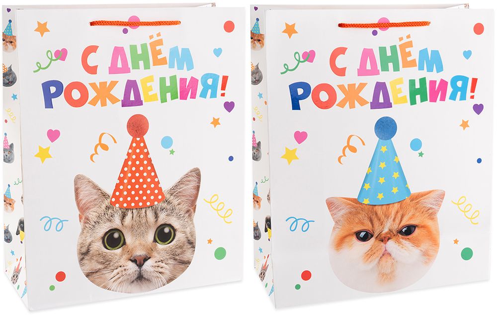 Пакет подарочный, Котенок в колпачке, Лаковый, 23*18*10 см, 1 шт.