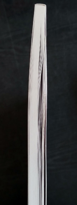 Додредноуты Германии. Броненосцы типа "Дойчланд" (1904-1945) (у)