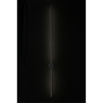 Настенный светодиодный светильник Aployt Merian APL.019.01.12