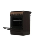 Плита газовая 6100-02 0010