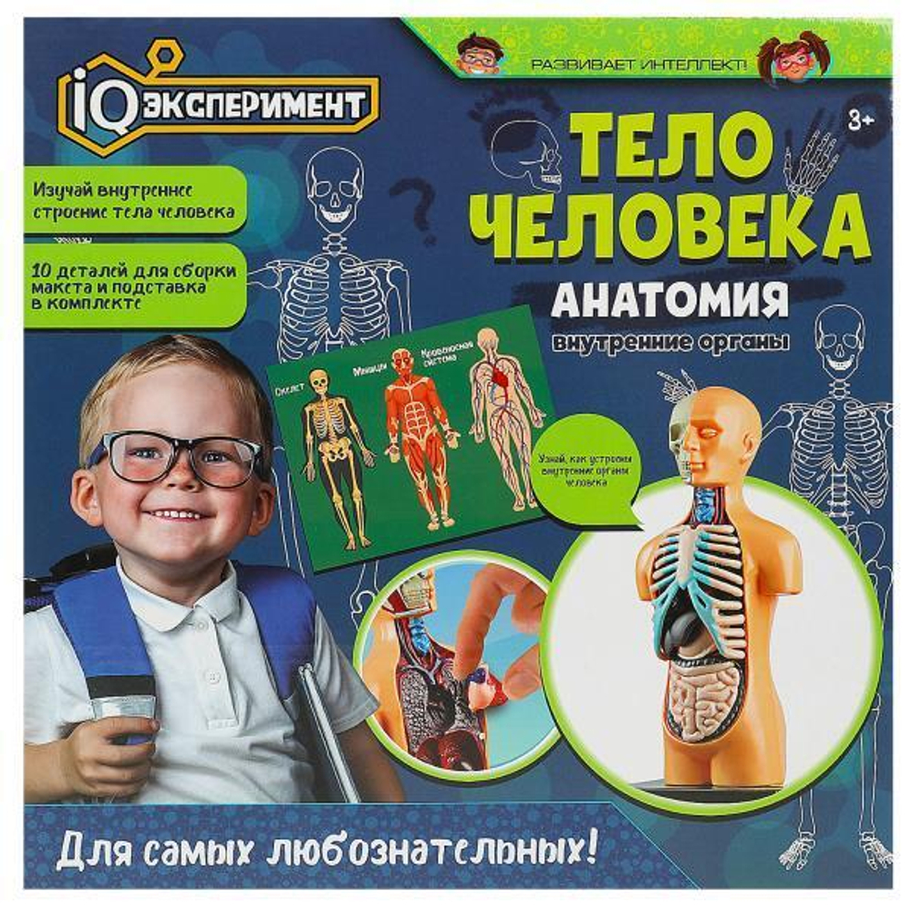Опыты "Тело человека" A365-H24041-R (IQ Эксперимент)