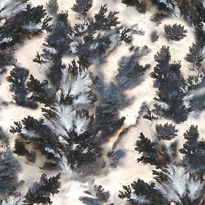 Веточки голубовато серые в камне