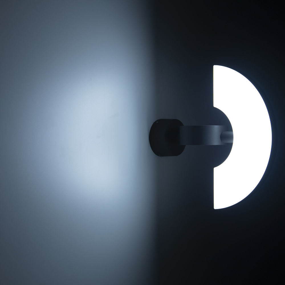 Citilux GARDA CLU03W LED Уличный настенный поворотный светильник Графит