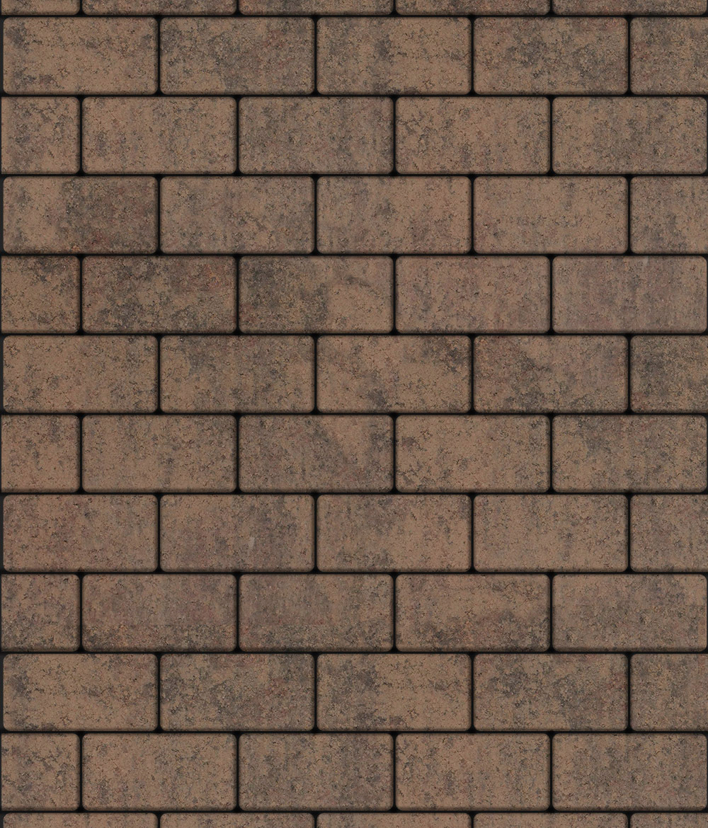 Тротуарная плитка ВЫБОР, форма Прямоугольник 100*200, h=80мм