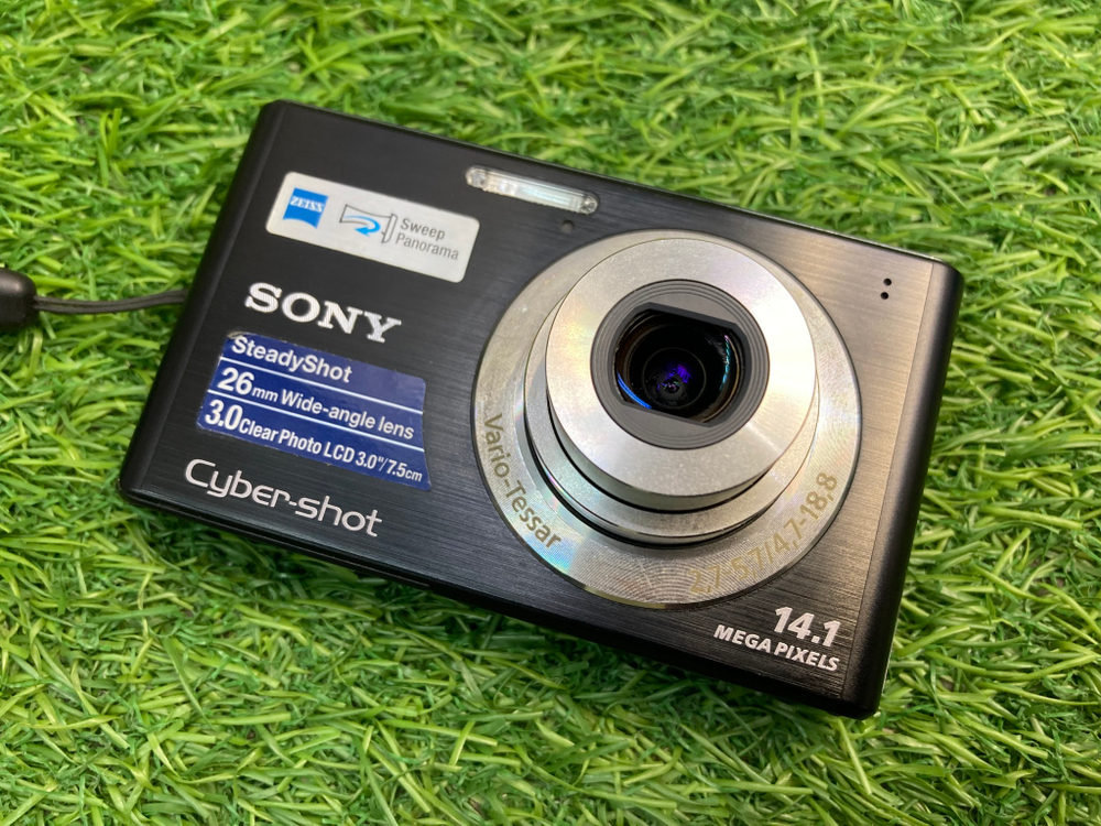 Sony W550