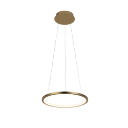 10014S Подвесной светильник LOFT IT Ring
