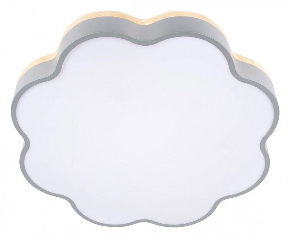 Накладной светильник Loft it Axel 10225/36 Grey