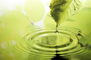 Сон и отдых