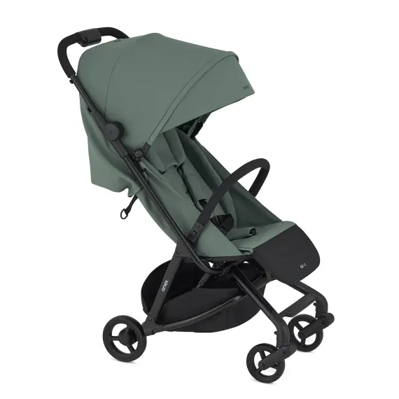 Коляска ANEX AIR-Z (Az-15-DNA) minted