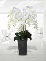 Искусственные Орхидеи белые 7 веток 120см в напольном кашпо графит
