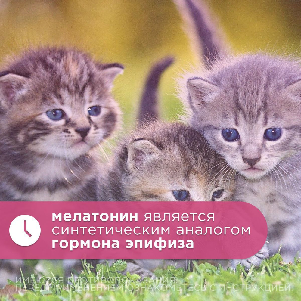 Препарат для контрацепции и регуляции полового поведения АВЗ OKVET Овостоп для кошек 2 пипетки/1 мл