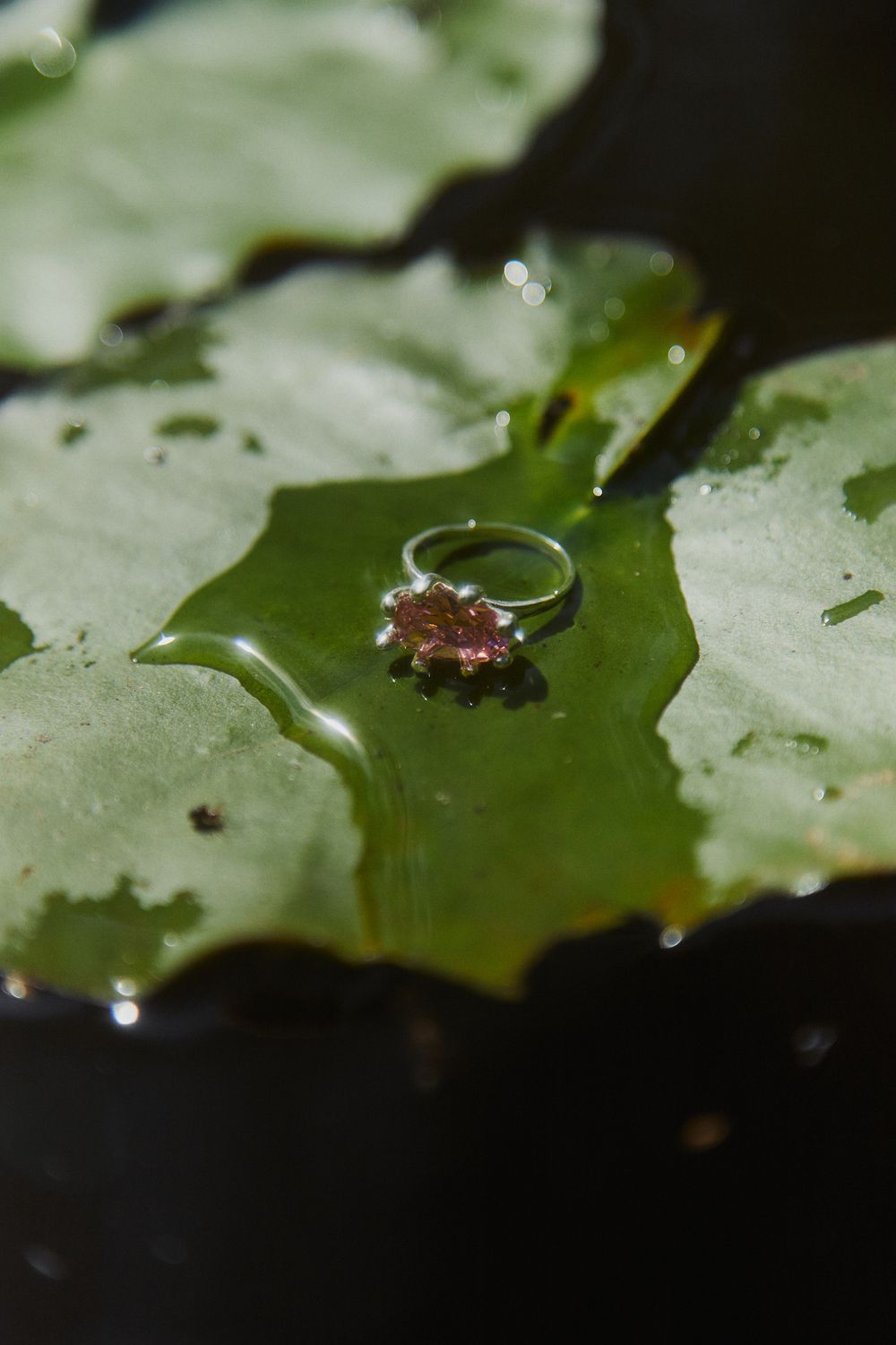 Кольцо Нимфеус