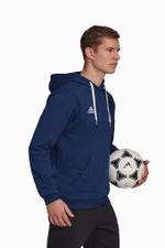 Кофта adidas Entrada 22 Sweat