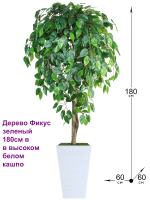 Искусственное дерево Фикус зеленый 180см в высоком белом кашпо ротанг