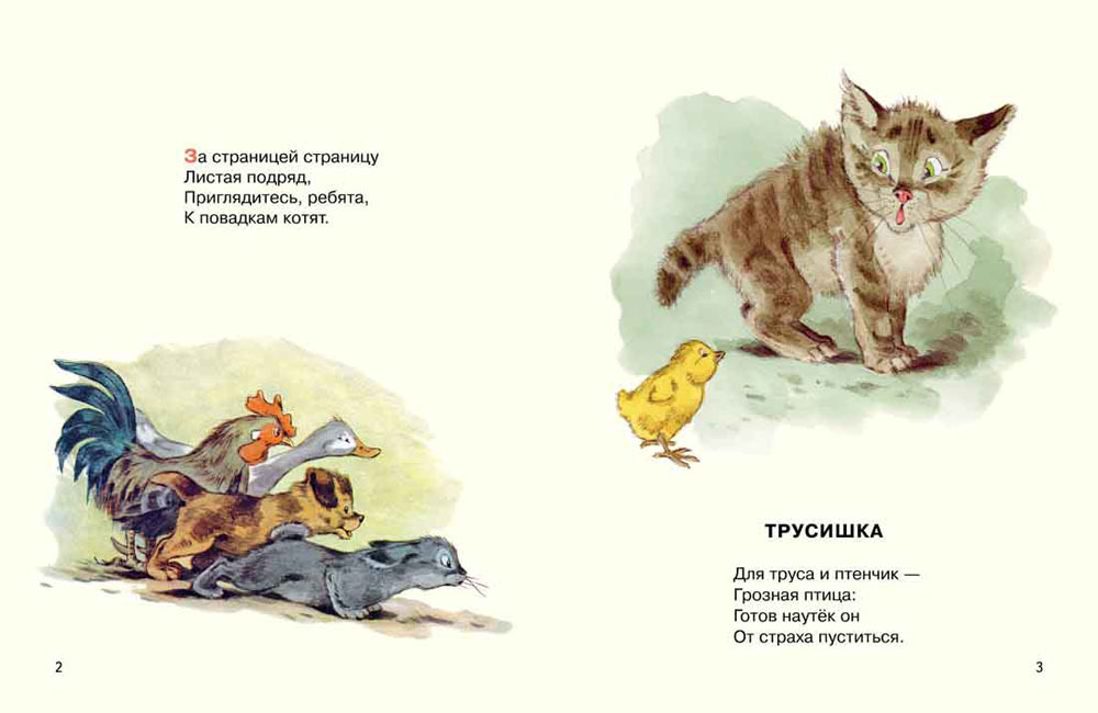 Странички-невелички "Посмотрите, какие котята!"