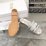 Christian Dior Dway Slide