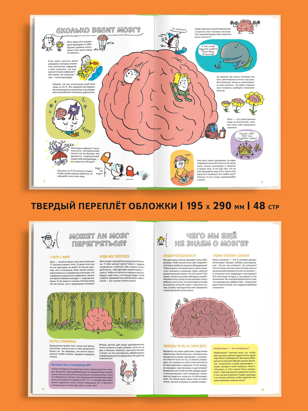 Супермозг. Детские вопросы про интеллект и память