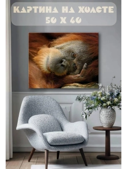 Картина на стену 40 X 50 Обезьяна