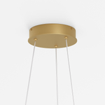 Подвесной светодиодный светильник Maytoni Rim MOD058PL-L22BSK