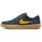 NIKE SB Force 58 Кроссовки для скейтбординга Низкие Сине-зеленые Желтые Унисекс
