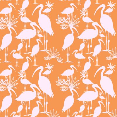 Птицы цапли на оранжевом