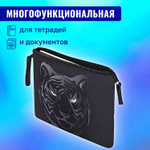 Папка для тетрадей BRAUBERG А5 1 отделение полиэстер на молнии с ручкой "Tiger" (3 штуки в упаковке)