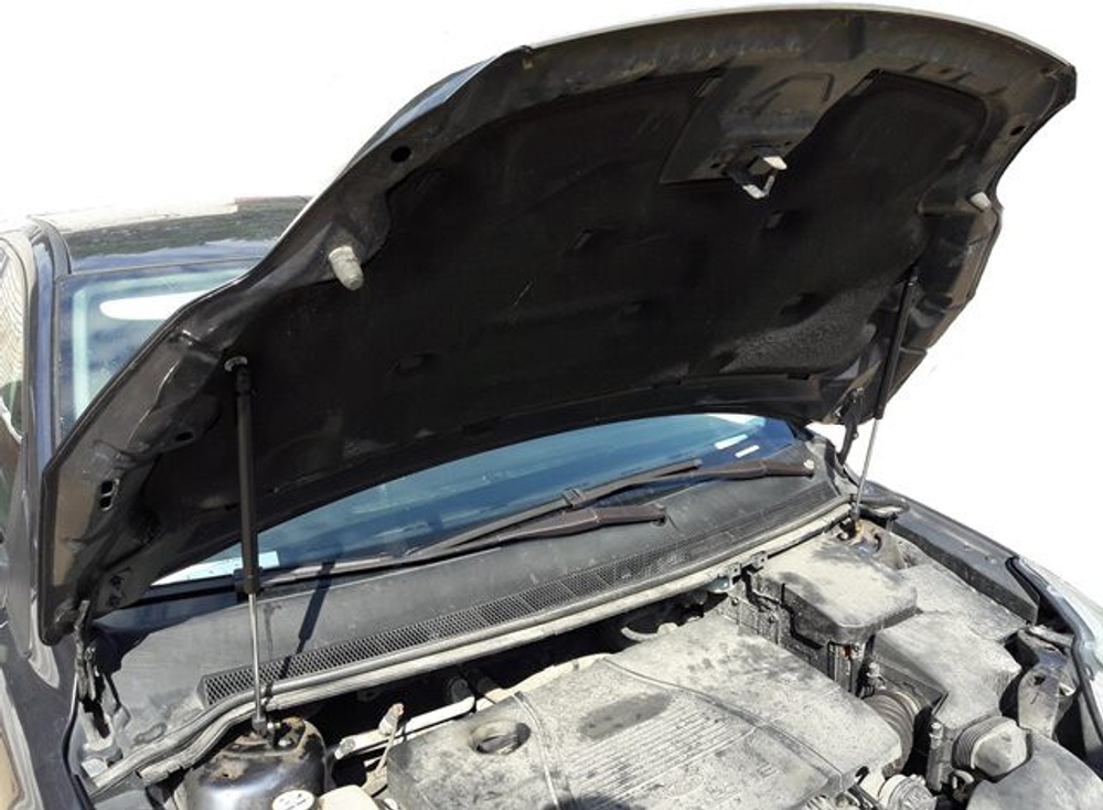 Амортизатор (упор) капота на Ford Focus 2 03-03/2(с 2008 по 2011 г.в.)Autoinnovation