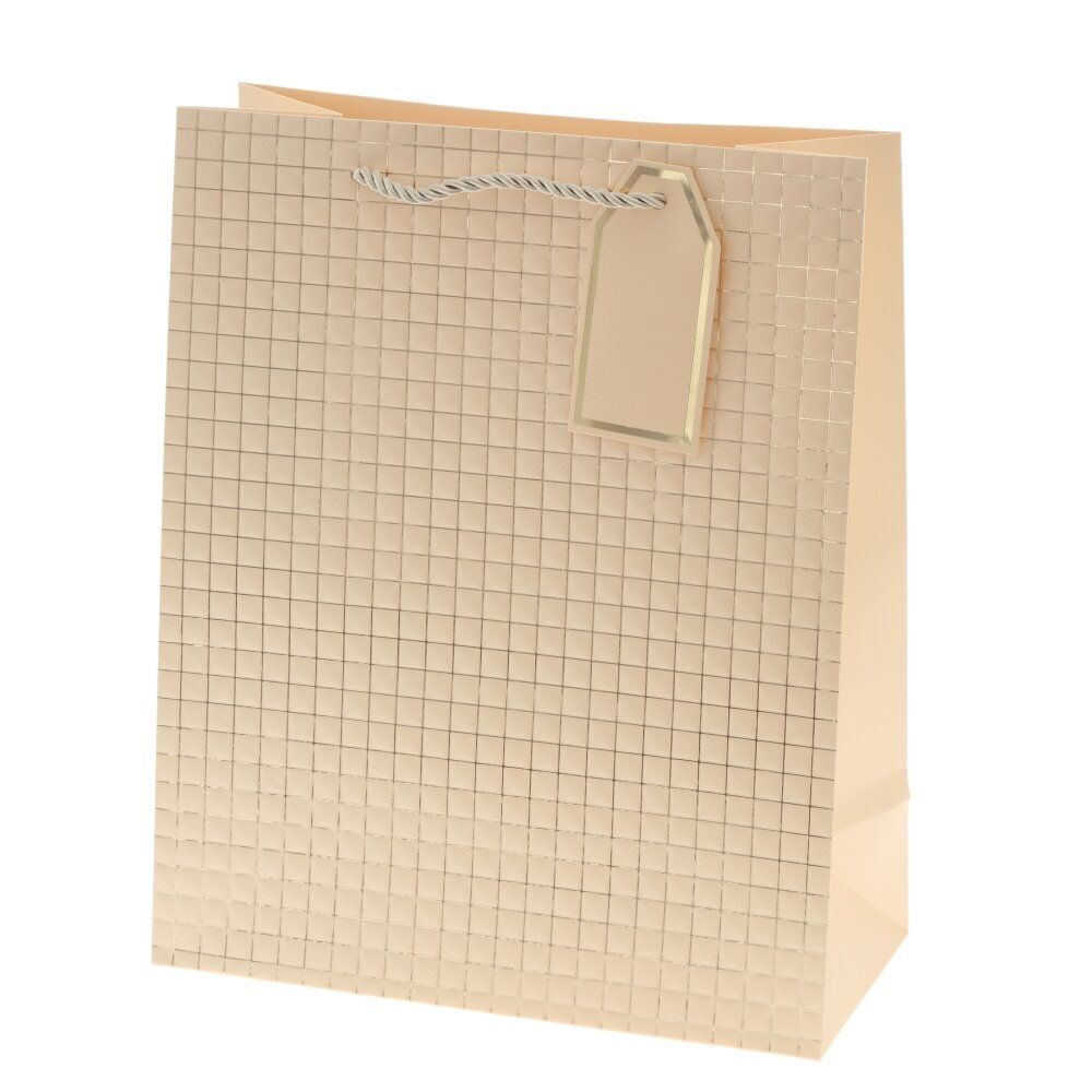 GAEM Пакет подарочный M (бумага 210г/м2, блок 12шт), L26 W12 H32 см, 14в.