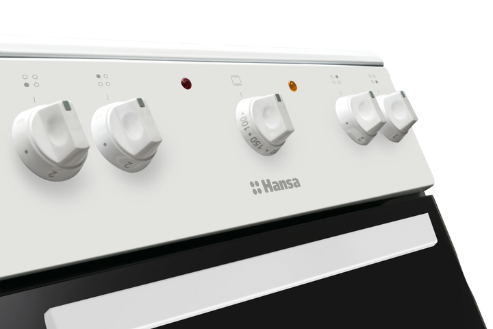 Газовая плита Hansa FCGW530253H