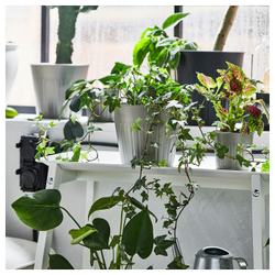 IKEA CITRONMELISS  (ИКЕА СИТРОНМЕЛИСС)  -  Крышка для цветочного горшка, закрытая/открытая/серая, 15 см
