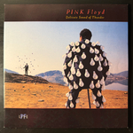 Pink Floyd - Delicate Sound Of Thunder 2LP (Европа 1988г.)