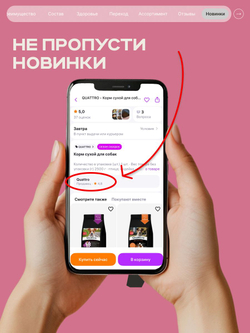 Корм сухой для взрослых собак породы Ши-тцу, с ягненком, 12 кг, QUATTRO
