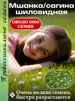 Семена газон Мшанка шиловидная