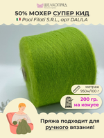 Бобинная пряжа для вязания (200 гр.) Pool Filati S.R.L. 50% супер  кид мохер 50% полиамид