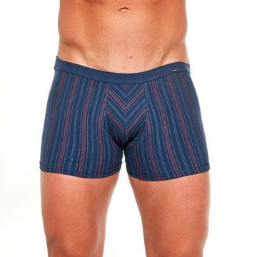 Трусы мужские боксеры Cornette Various mini 228/122