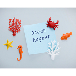 Набор магнитов ocean, 6 шт.